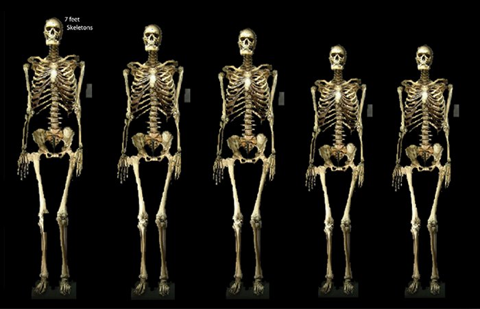 Giants Ruled America