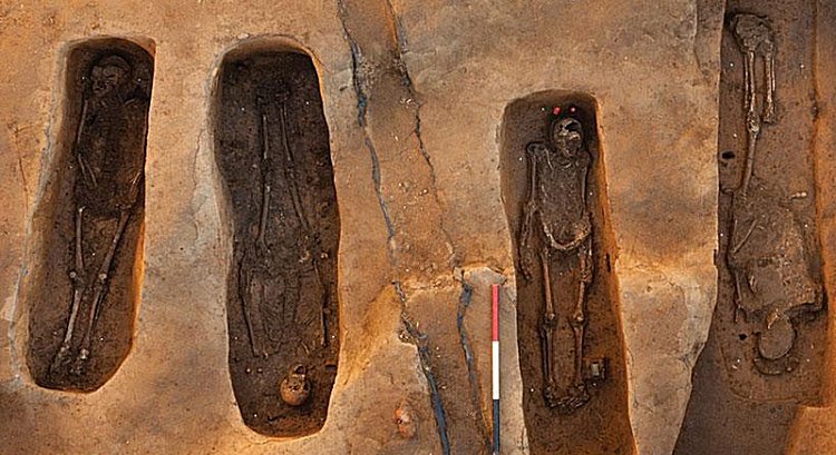 400-year-old bone sjamestown