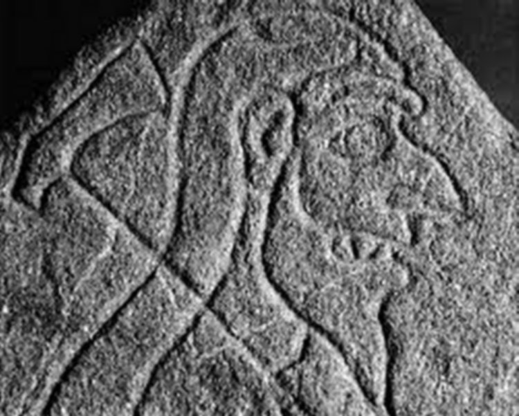 Unraveling the mystery of the Rhynie Man