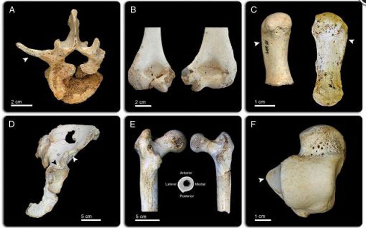 Old bones in Spain