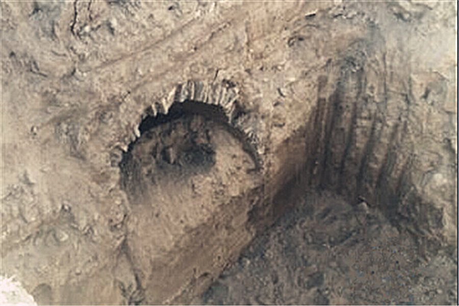 The discovered tomb belonged to a rich male around 40 to 50 years old, judging by his skull, though his identity is not yet known. Photo: via http://english.cntv.cn/