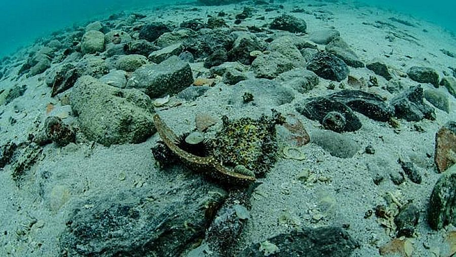 The wreck of a ship is believed to date back to either the 12th or 13th century, has been found off the coast of Salento. Photo: Area Marina Protetta Porto Cesareo