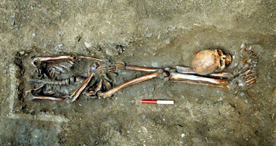 One of the skeletons excavated by York Archaeological Trust at Driffield Terrace (credit: York Archaeological Trust)