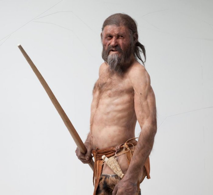 Researchers have now identified the presence of Helicobacter pylori in Ötzi's stomach contents, a bacterium found in half of all humans today.