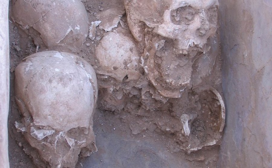 Skeletons were taken apart and the bones buried in different locations (photo: University of Copenhagen)