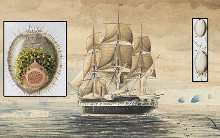 On This Day In History: HMS Challenger Begins Scientific Exploration Of Oceans - On Dec 21, 1872