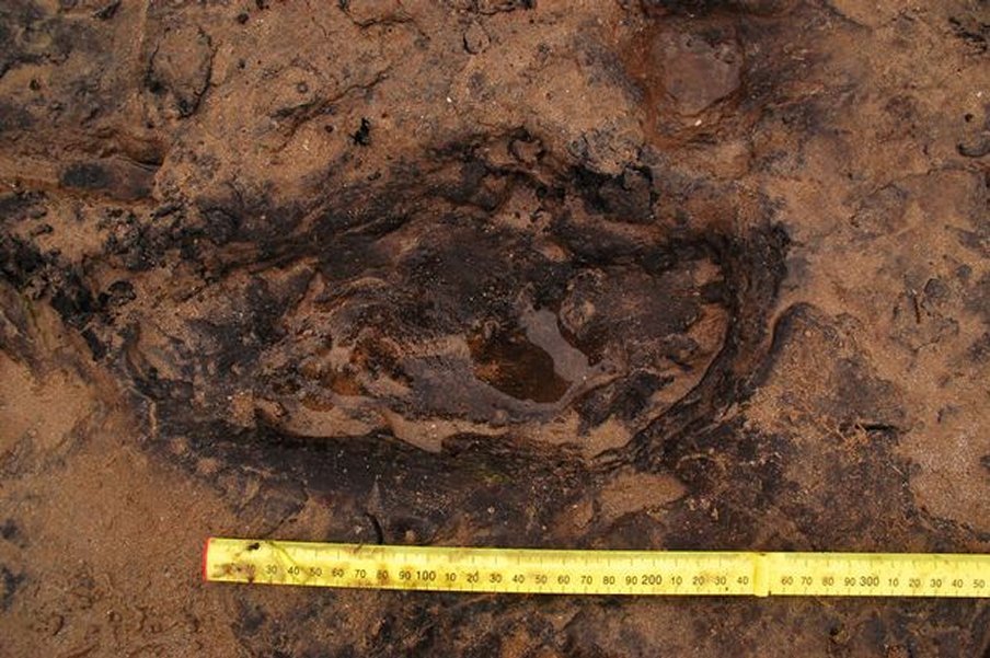 The ancient footprints found at Port Eynon on the Gower peninsula (Photo: Cardiff University/PA Wire