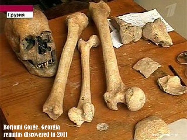 Giants Did Exist And Were A Part Of Earth’s Ancient History