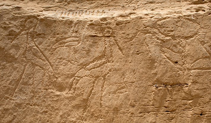 Unknown Rock Inscriptions And Earliest Monumental Hieroglyphs In Egypt Shed New Light On Ancient Writing
