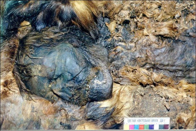Copper mummy