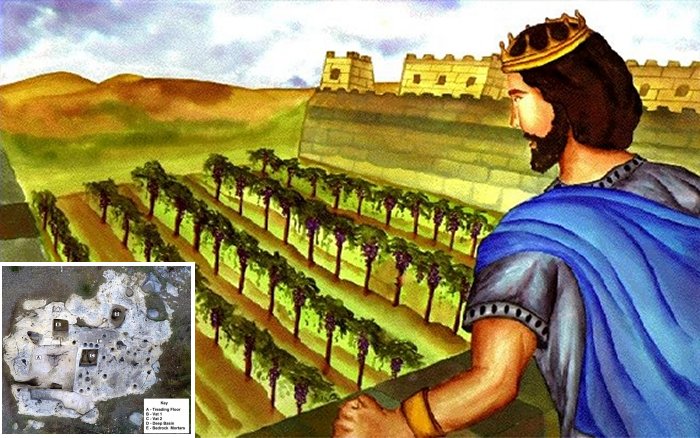 Biblical Vineyard Of Naboth Existed And Has Been Found