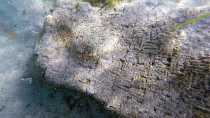 Remains Of 1,600-Year-Old Roman City Of Neapolis Devastated By A Tsunami Discovered