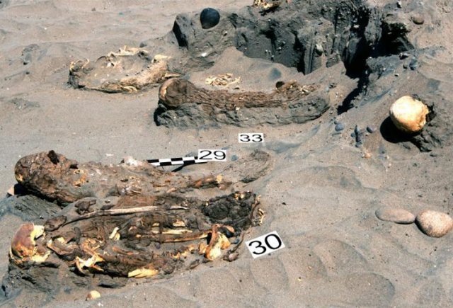 The Atacama mummies wrapped in burial shrouds and mats. One of the dead has a bow. Photo: Archives of the Tambo Project of the University of Wrocław.