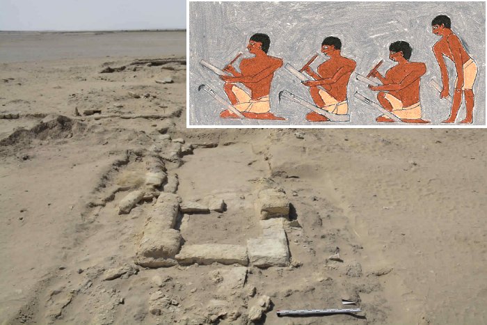 Ancient Gymnasium Discovered In Egypt