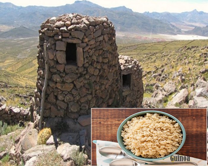 Archaeological granary of the Charali site in the Andes. Credit: P Cruz, CONICET
