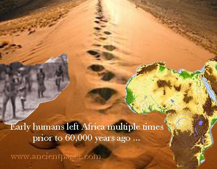 migration africa out