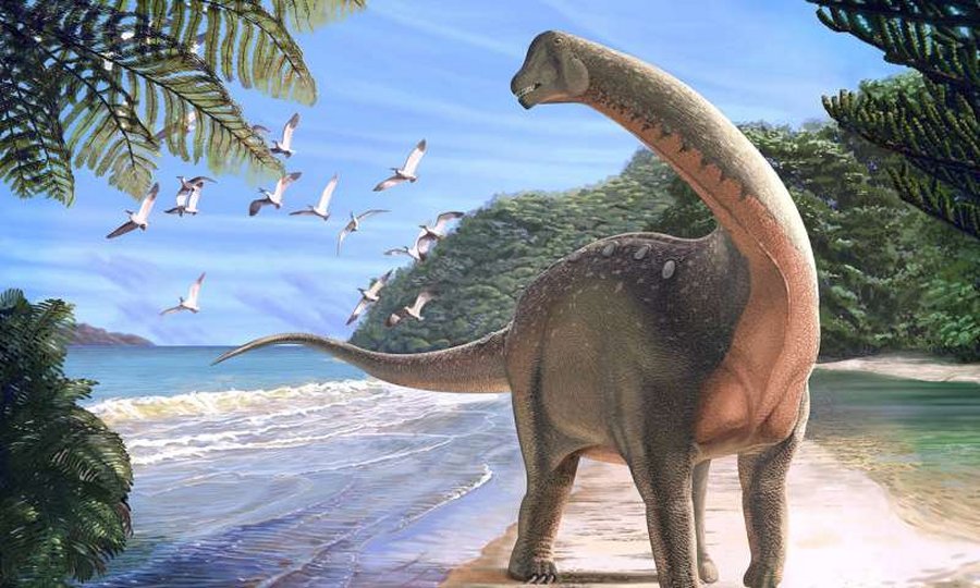 on a coastline in what is now the Western Desert of Egypt approximately 80 million years ago.