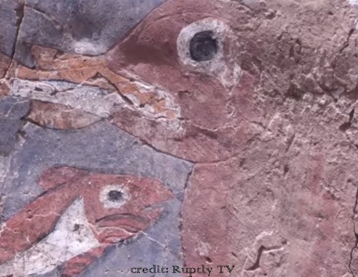 the walls of the chambers are decorated with pictures of sea lions and fish. Image credit: Ruptly TV