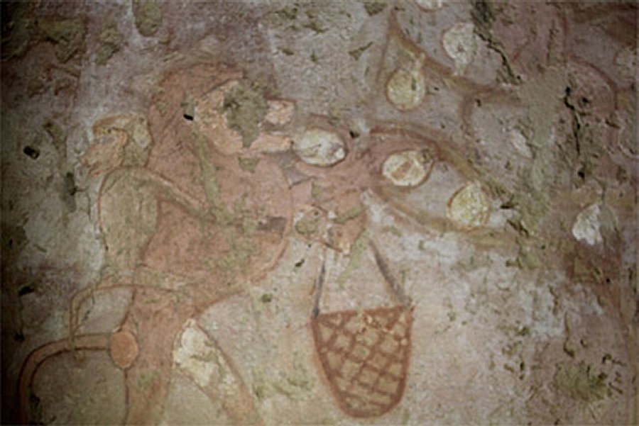 A 4000-year-old tomb of Fifth Dynasty priestess - a scene depicts a monkey. Image credit: Ahram Online