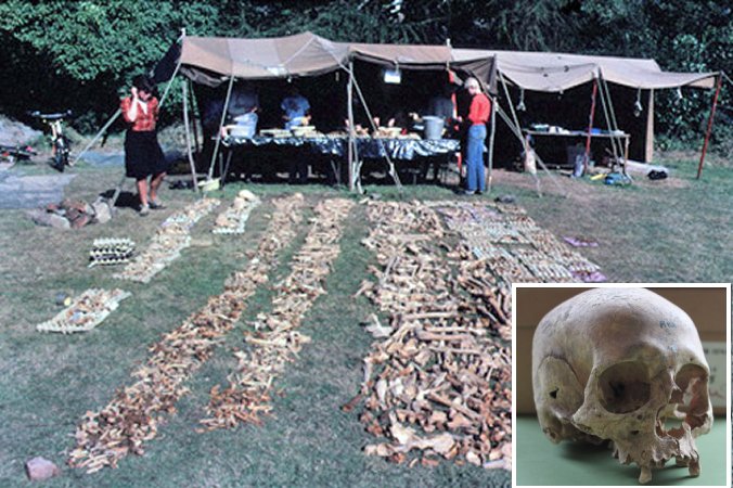 Viking Age Mass Grave Reveals Gruesome Discovery