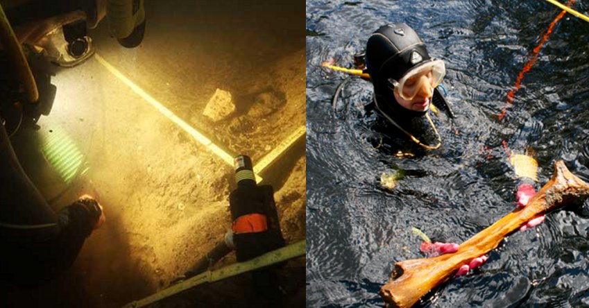 Artifacts Discovered In Ancient Florida Sinkhole Can Re-Write History Of North America