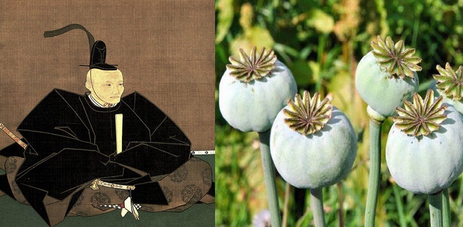 400-Year-Old Documents Reveal Japanese Opium Was Produced For Medical Purposes