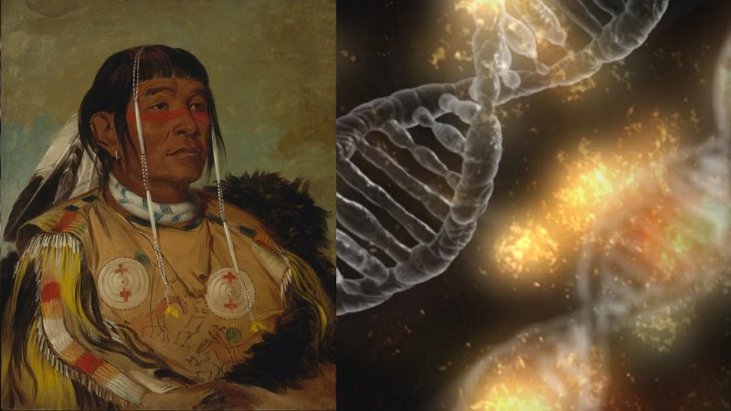 DNA Study Reveals 250 Siberians Became The First Native American Population