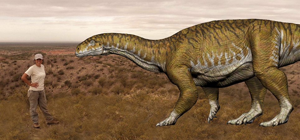 Oldest Giant Dinosaur Species Discovered In Argentina
