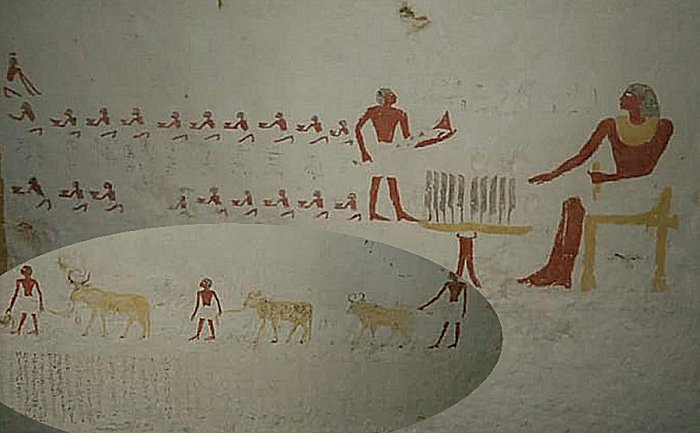 Two Elite Burial Chambers Dated To Middle Kingdom Uncovered In Beni Hassan Necropolis, El-Minya, Egypt