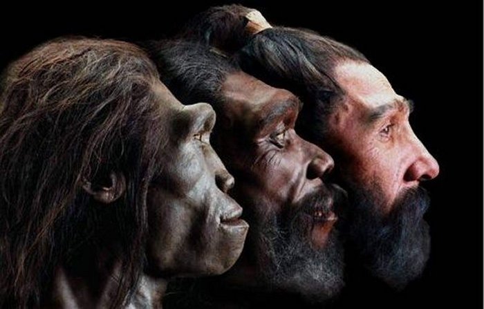 Homo Erectus Was Too Lazy And Went Extinct