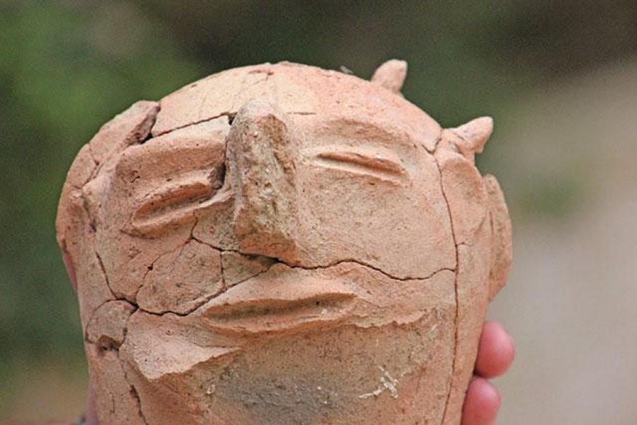 A head of a statue found at Tell Damiyah site in the central Jordan Valley (Photo courtesy of Lucas Petit)