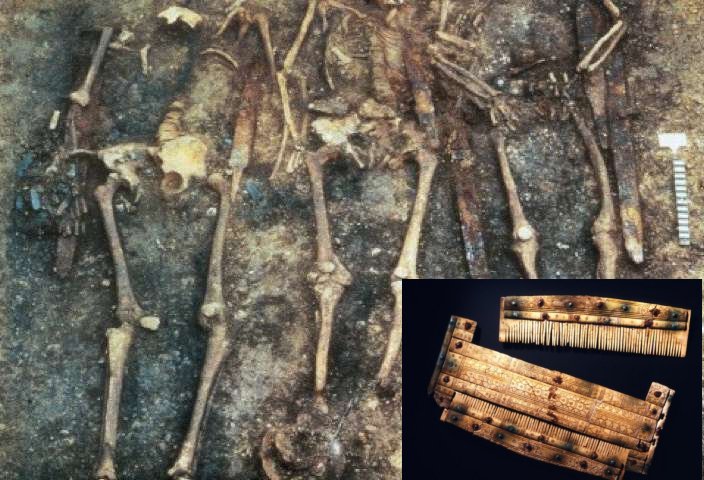 DNA Analysis Of Human Remains In Early Medieval Alemannic Graveyard