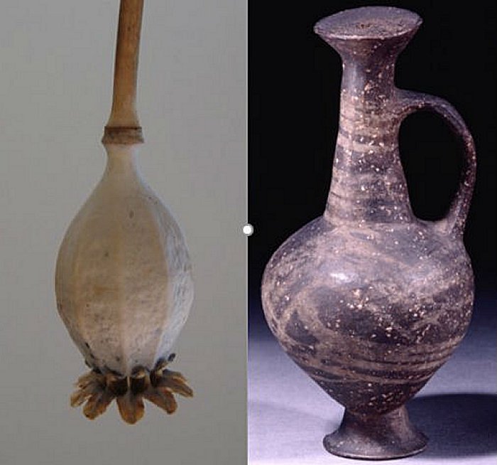 The juglet (right) resembles the shape of an inverted opium poppy seed head (left)