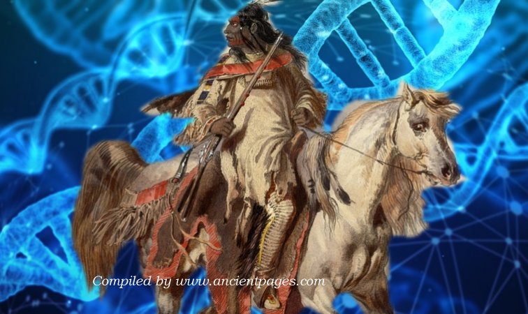 Ancient DNA Reveals Unknown Genetic Exchanges Between North And South America