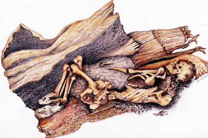 DNA Study Of Controversial Ancient North American Mummies, Including The Spirit Cave Mummy Opens An Extraordinary Chapter In Human History