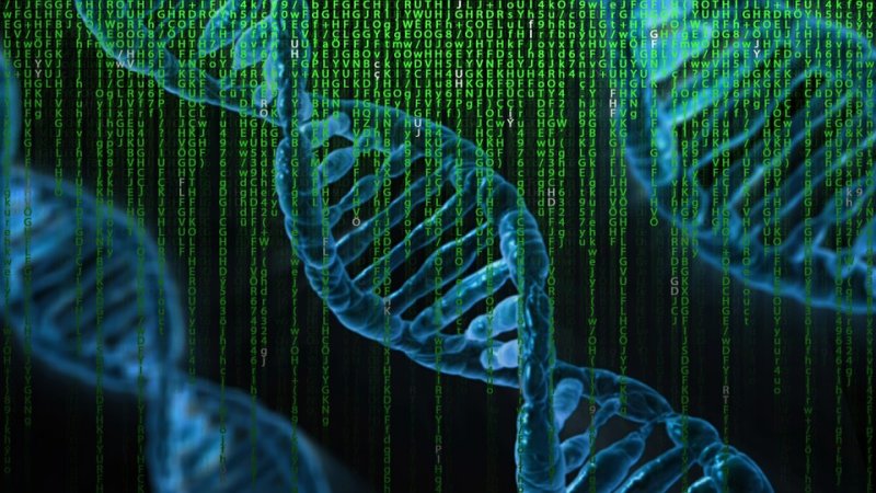 Has AI Found An Unknown Human Ancestor?