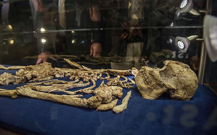 Meet ’Little Foot' – A New Species Of Early Human