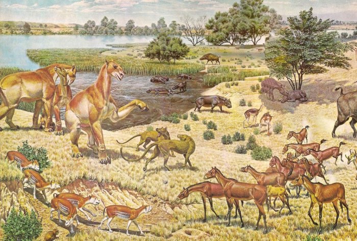 Illustrator Jay H. Matternes captured a scene from the Miocene Period as an ancient species of horse called Parahippus, lower right, interacts with other carnivores and herbivores of the time. Illustration/Jay H. Matternes/U.S. Department of the Interior/Wikimedia Commons