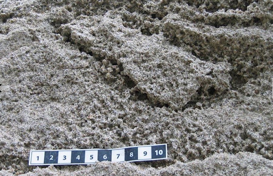 Footprint made 29,000 ago.. Credit: Universidad de Sevilla