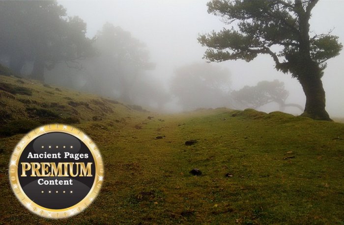 Strange Mist, Unexplained Vanishings And Other Bizarre Incidents – What Is The Connection?