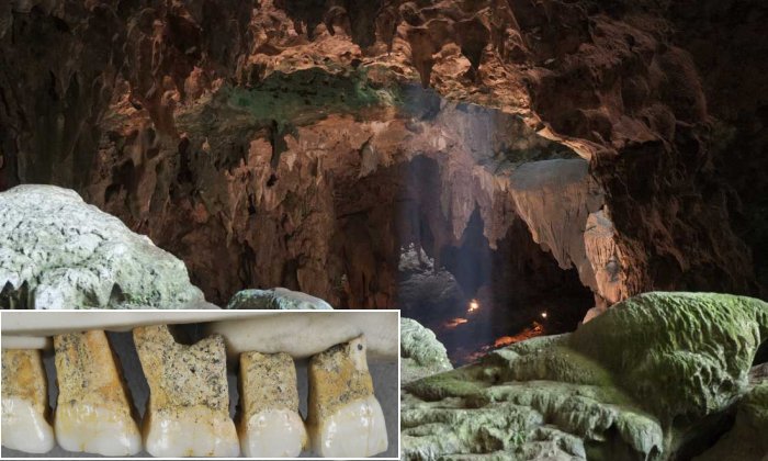 callao cave new species