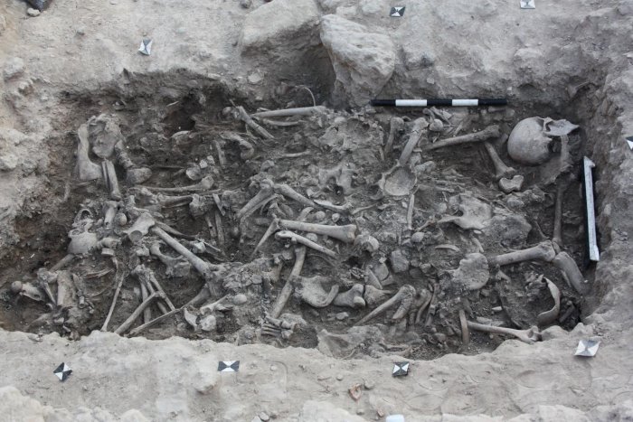 The bones of the Crusaders found in a burial pit in Sidon, Lebanon. Credit: Claude Doumet-Serhal