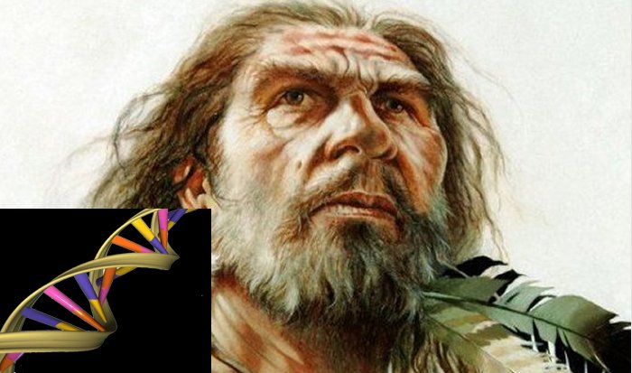 denisovans DNA