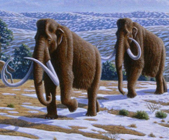 Fascinating Gigantic Creatures Today Totally Extinct 13,000 Years Ago Co-Existed With Early Americans