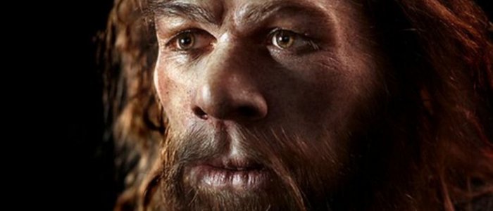 Neanderthals and human interbred, but we haven't been able to determine where they first met. Image credit: Slash Gear