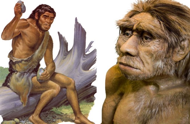 Neandertals