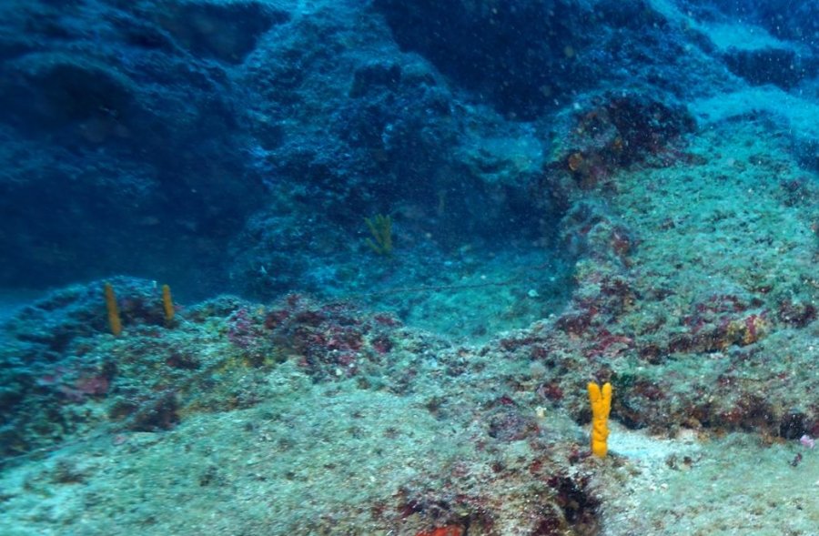 World’s oldest shipwreck found in Mediterranean