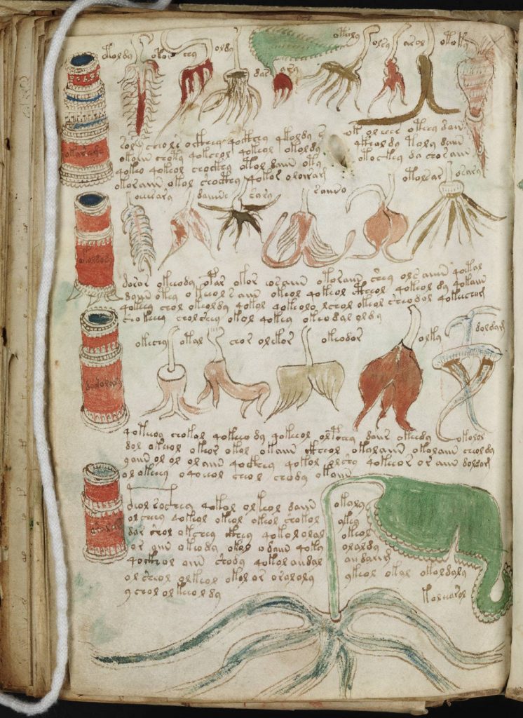 voynich manuscript