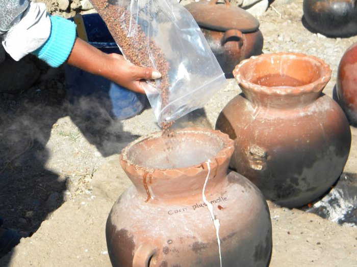 The team worked with Peruvian brewers to recreate the ancient chicha recipe used at Cerro Baul.