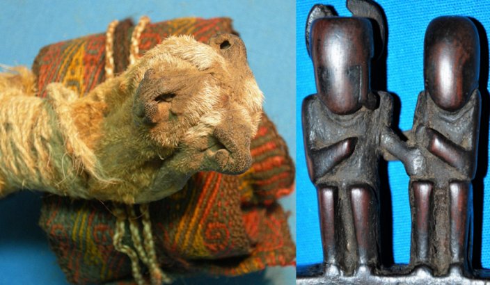 Ancient Ritual Bundle From Bolivia Reveals Multiple Psychotropic Plants